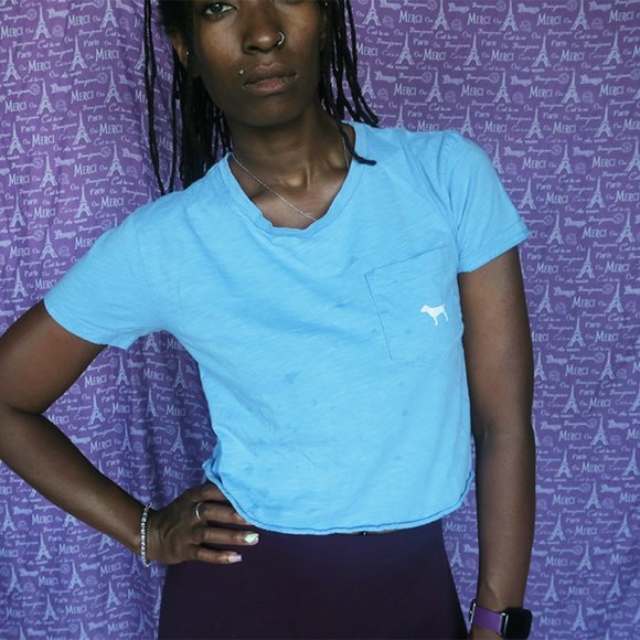 PINK Victoria's Secret cropped t-shirt with dog on front pocket in baby blue S - Picture 1 of 6